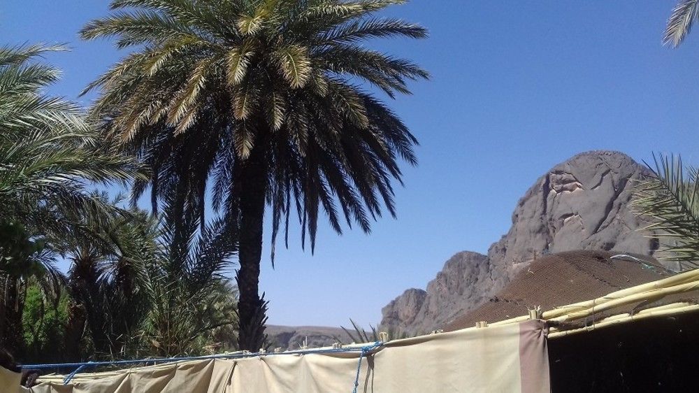 Auberge Restaurant Tissili " Oasis De Fint" Buitenkant foto